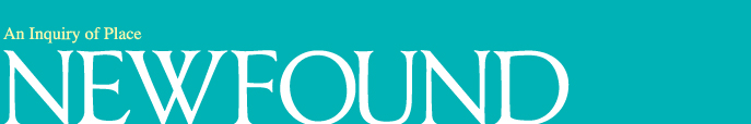 Logo Newfound